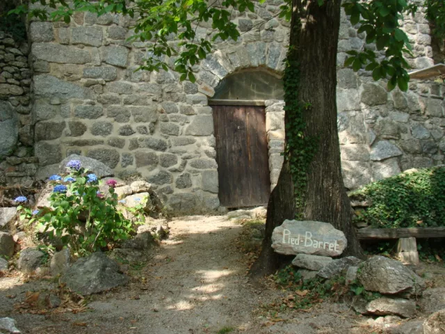 La mule
